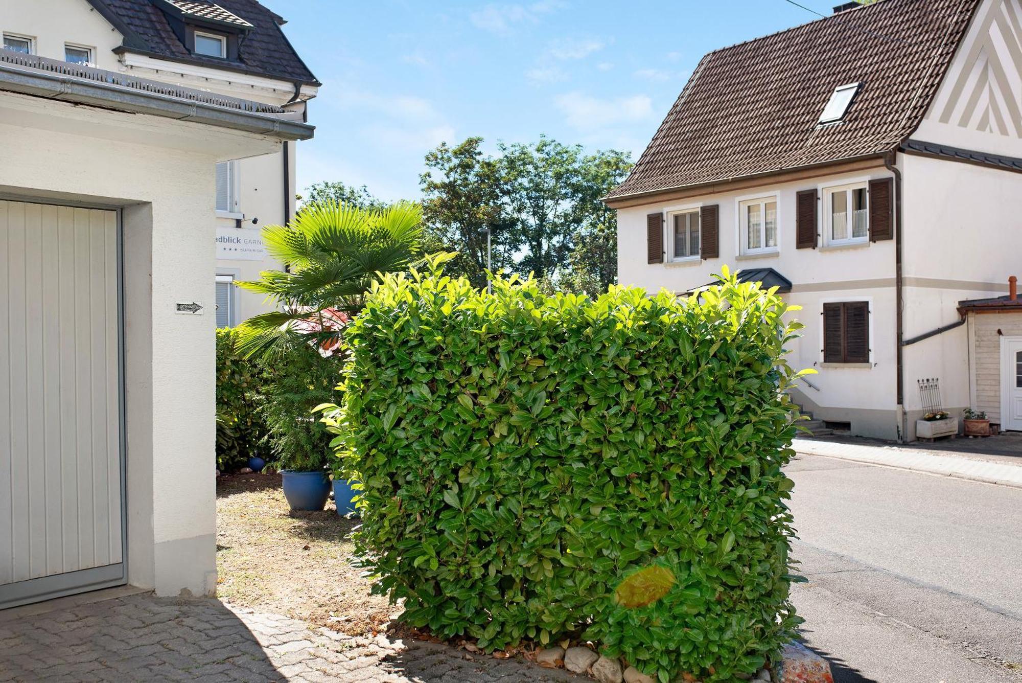 Bluehome Ferienwohnung Bad Bellingen Exterior foto